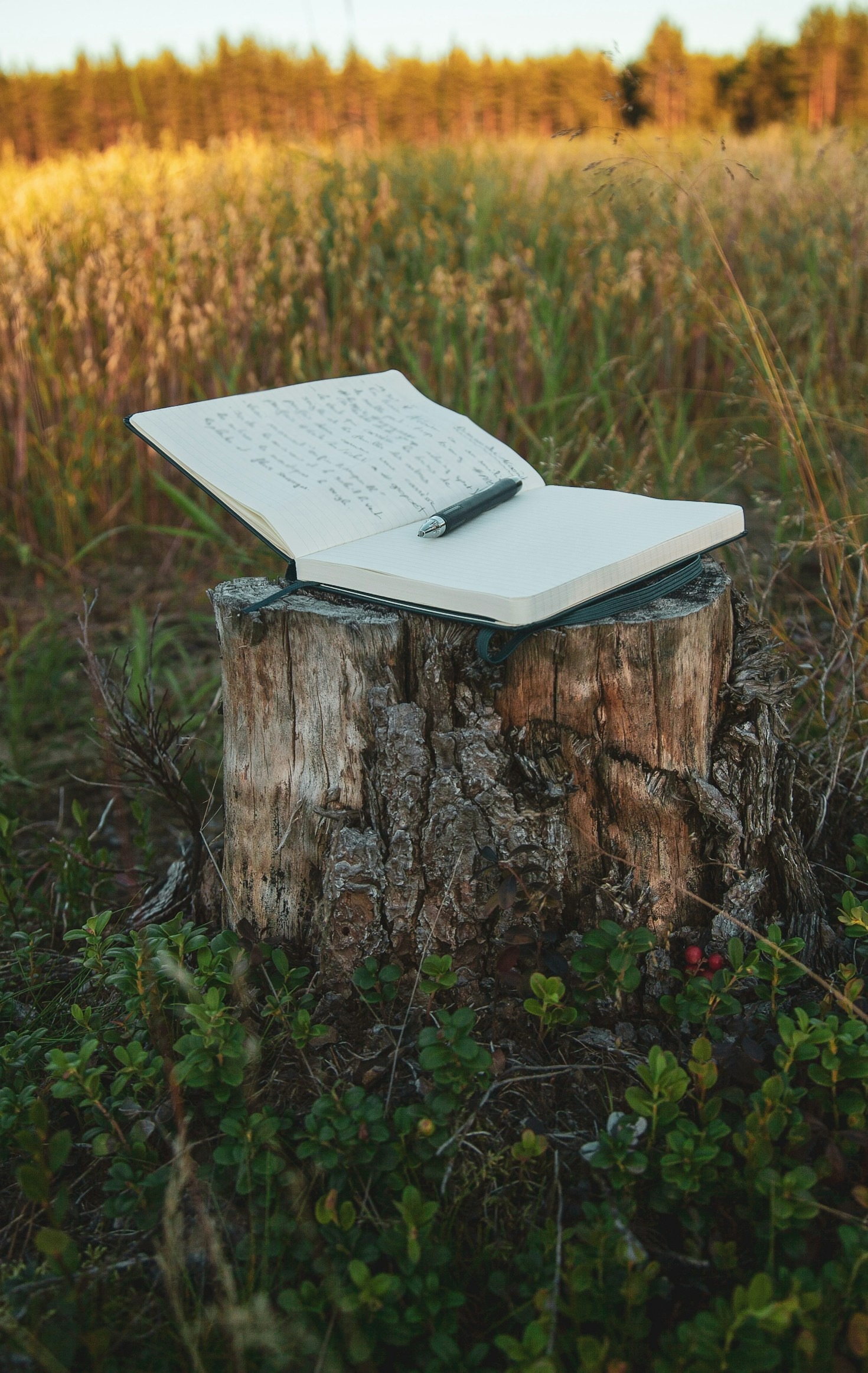 The Art of Personal Storytelling: A Guide
